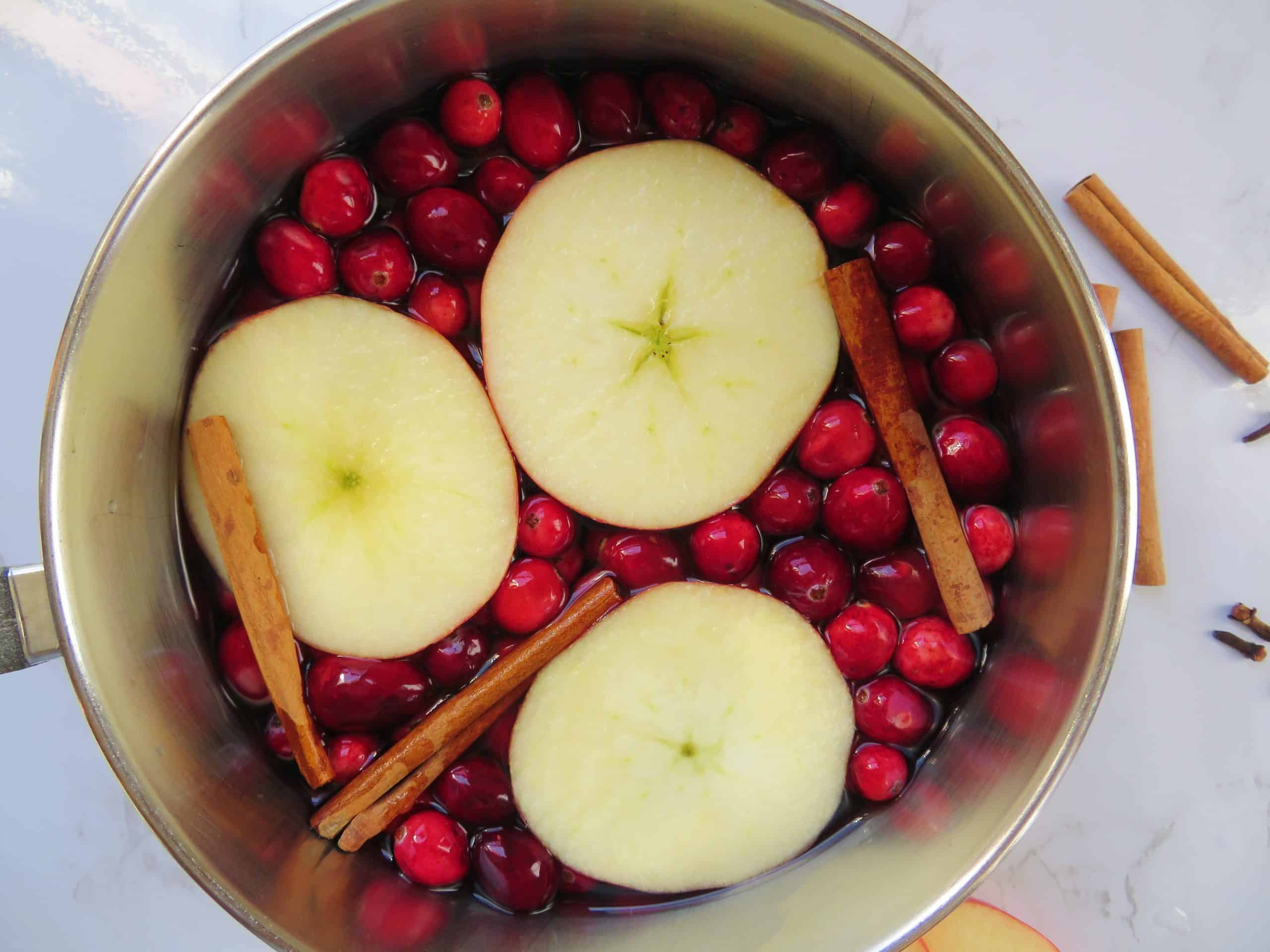 Apple Cranberry Stovetop Potpourri