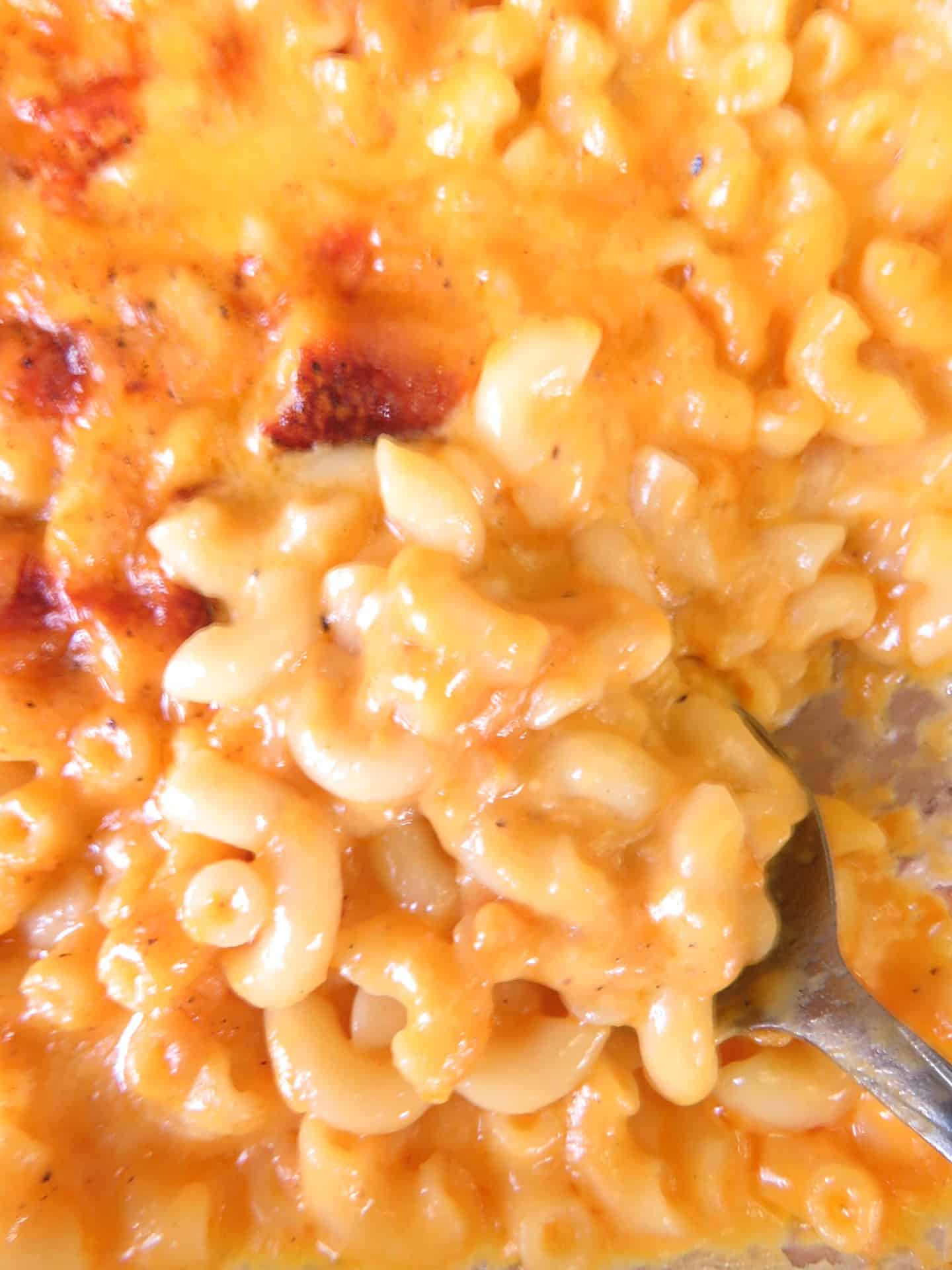 Close up on a pan of yogurt mac and cheese with a spoon.