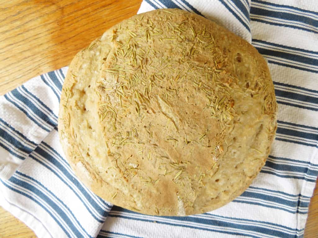 beginner's sourdough bread recipe