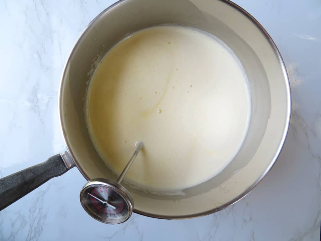 butter pecan ice cream recipe cuisinart