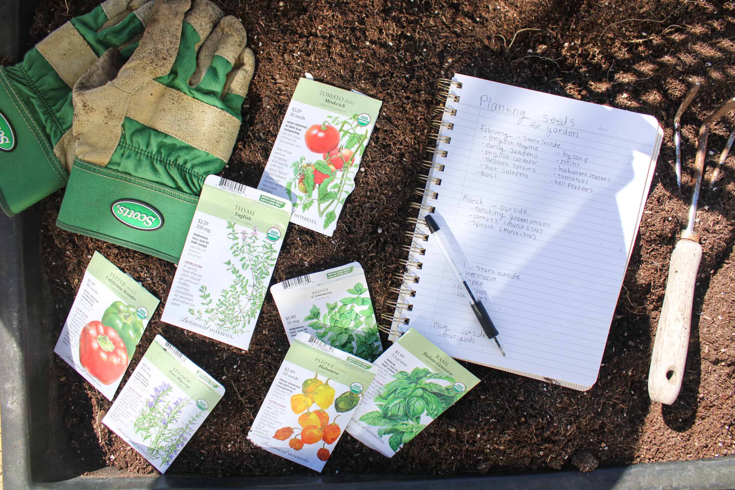 Black Girl Garden Diaries- Beginner’s Guide to Gardening #1