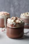 Side view of hot chocolate with whipped cream.
