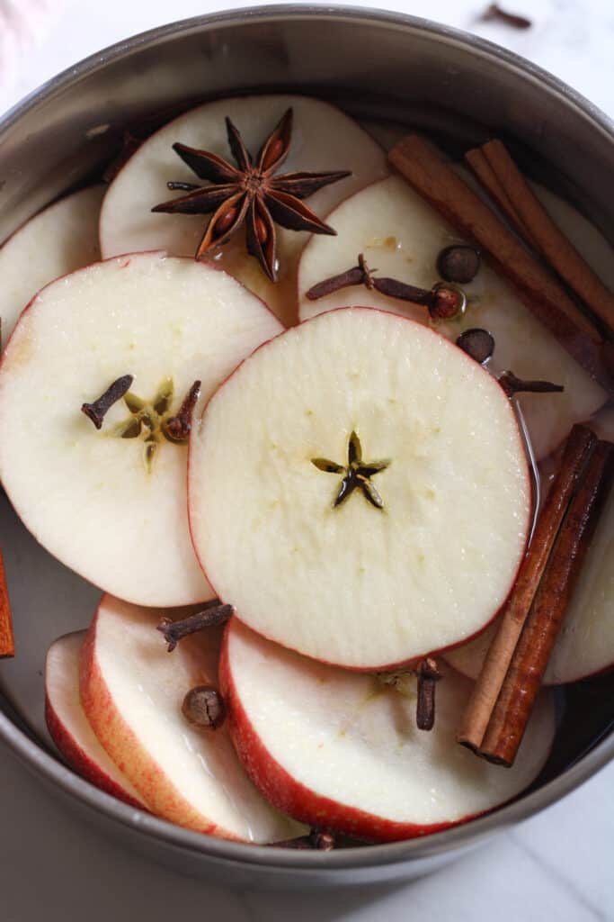 Close up on apple cinnamon stovetop potpourri. 