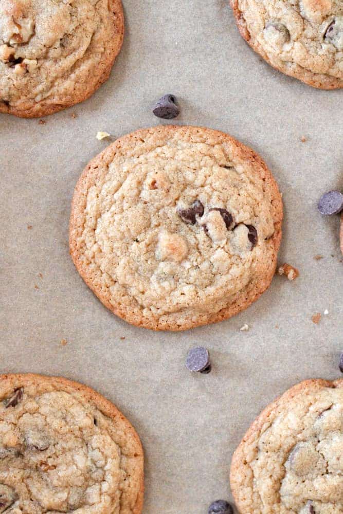 Overhead view of baked chocolate chip cookies with chocolate and walnut pieces on a sheet pan. 