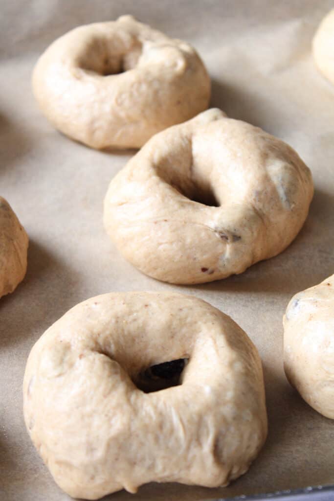 Cinnamon raisin bagel dough on a sheet pan.