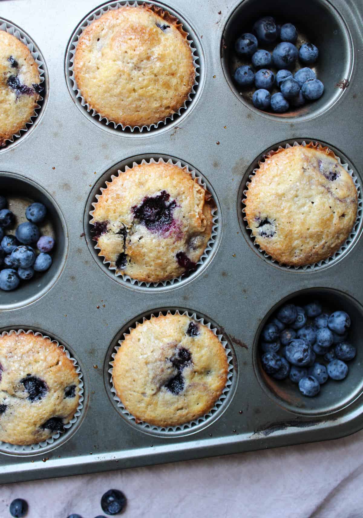 Blueberry muffins in a muffin pan with fresh blueberries.
