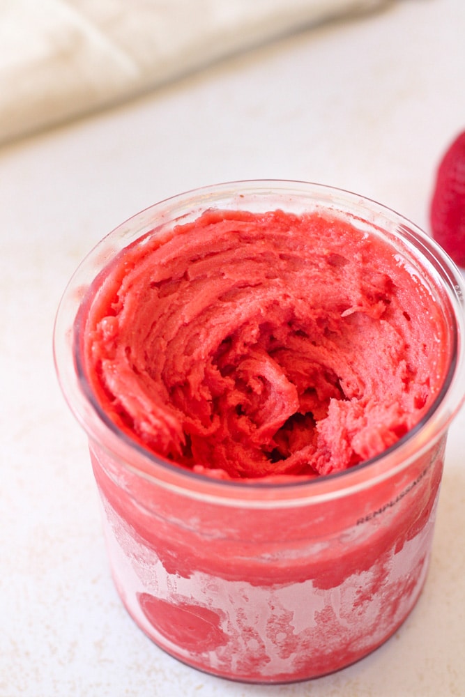 Blended sorbet in a container.