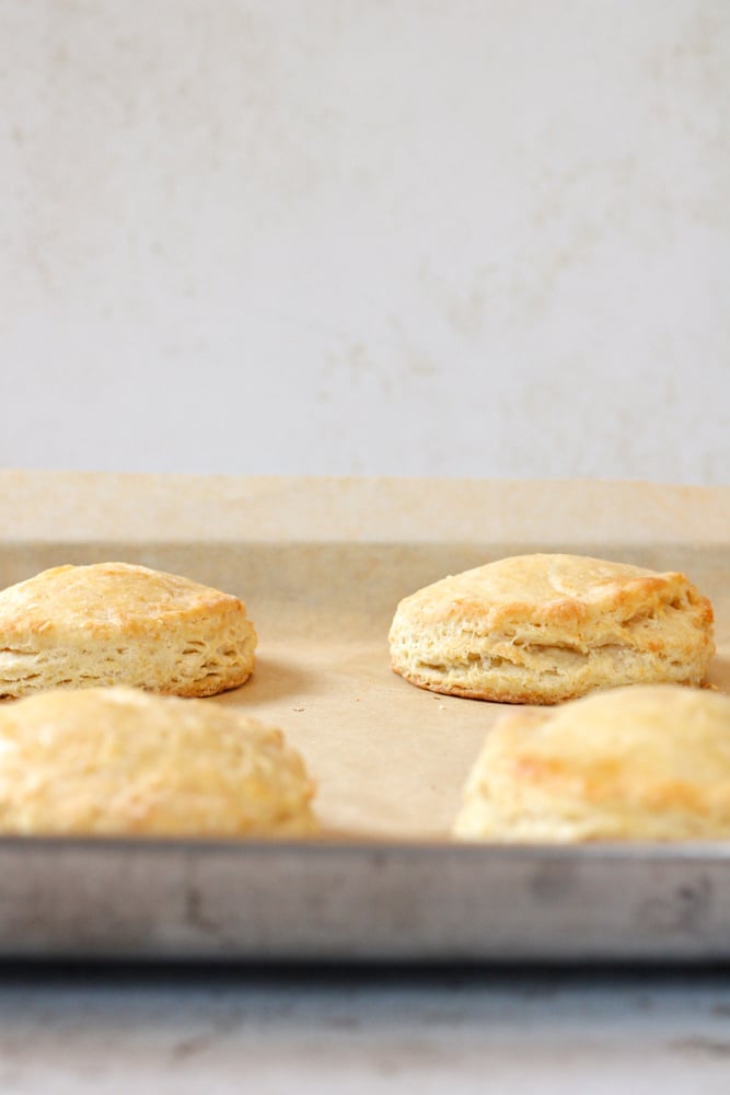 Baked biscuits on a sheet pan.