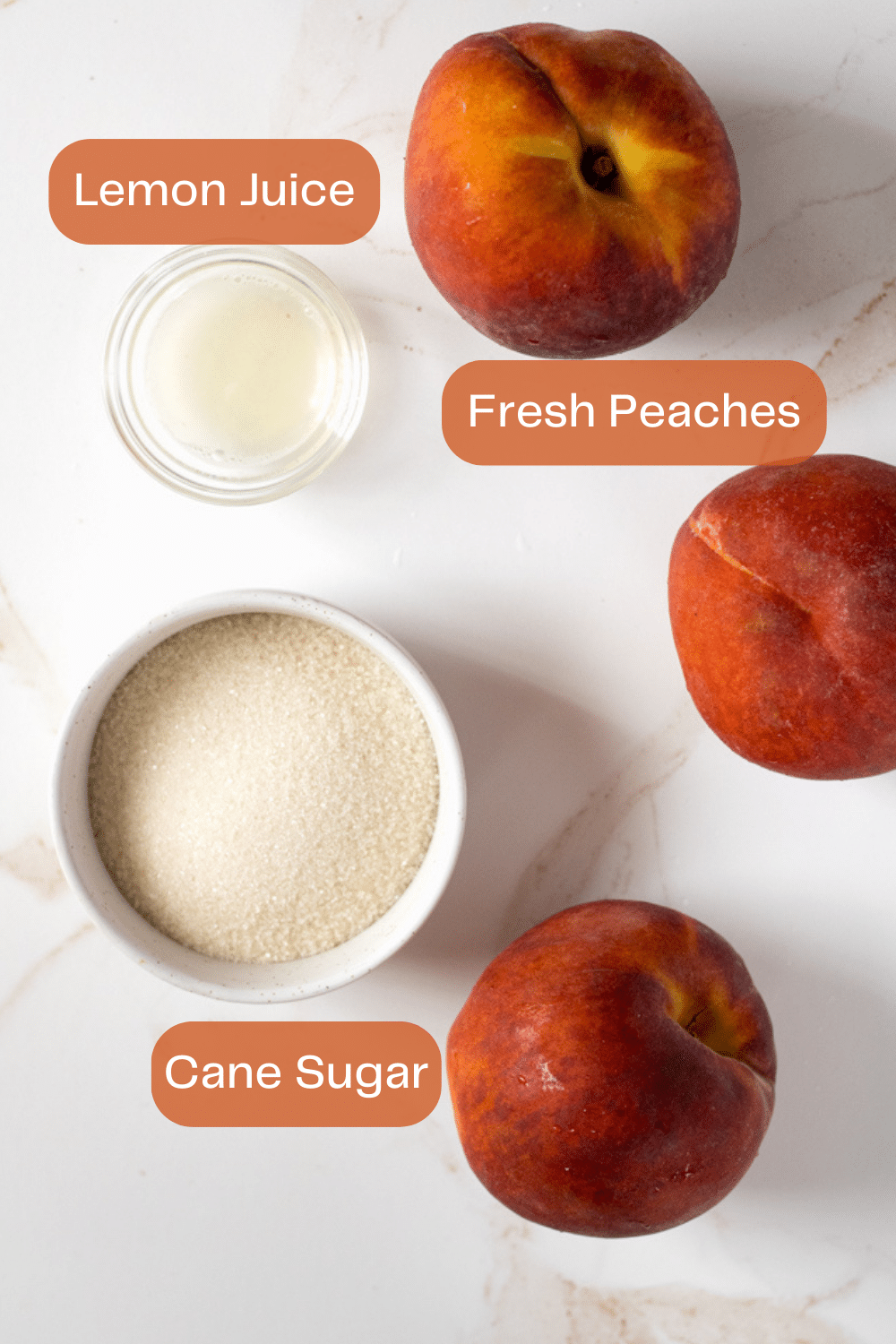 Ninja creami peach sorbet ingredients infographics.