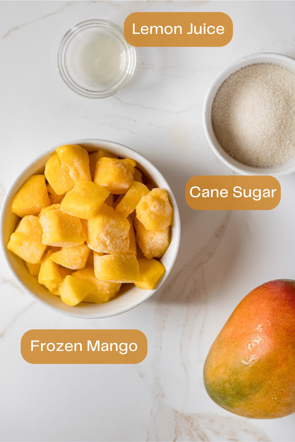 Ninja creami mango sorbet ingredients infographic.
