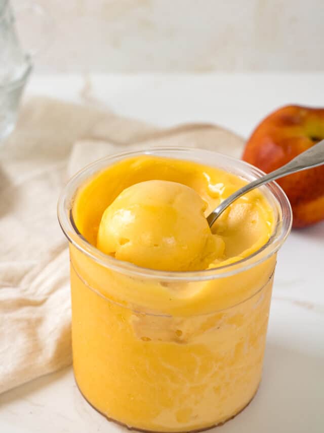 Side view of a scoop of sorbet in a container.