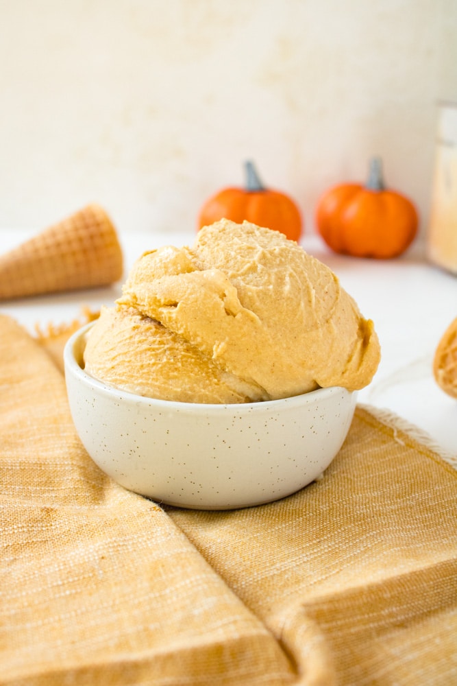 Dairy Free Ninja Creami Pumpkin Ice Cream