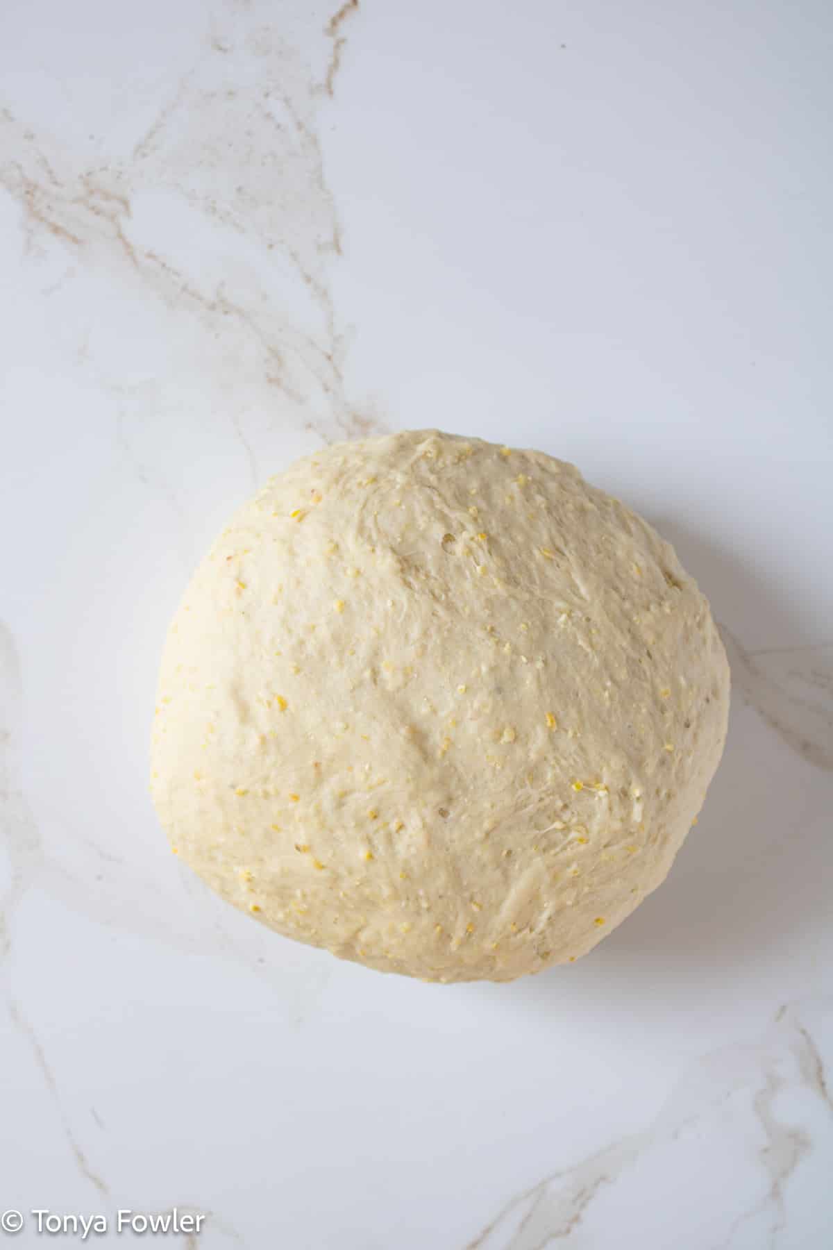 Pizza crust dough on a counter.