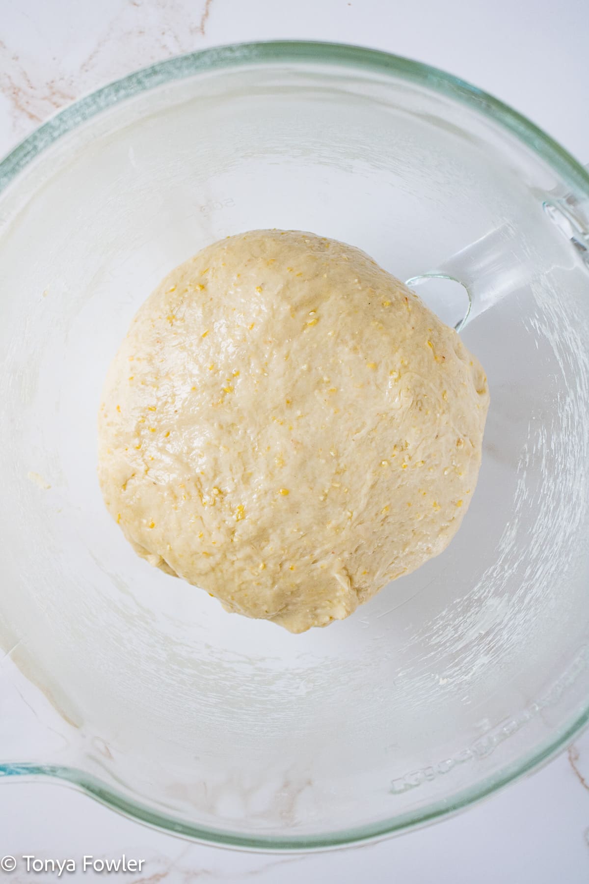 Pizza dough in a greased mixing bowl.