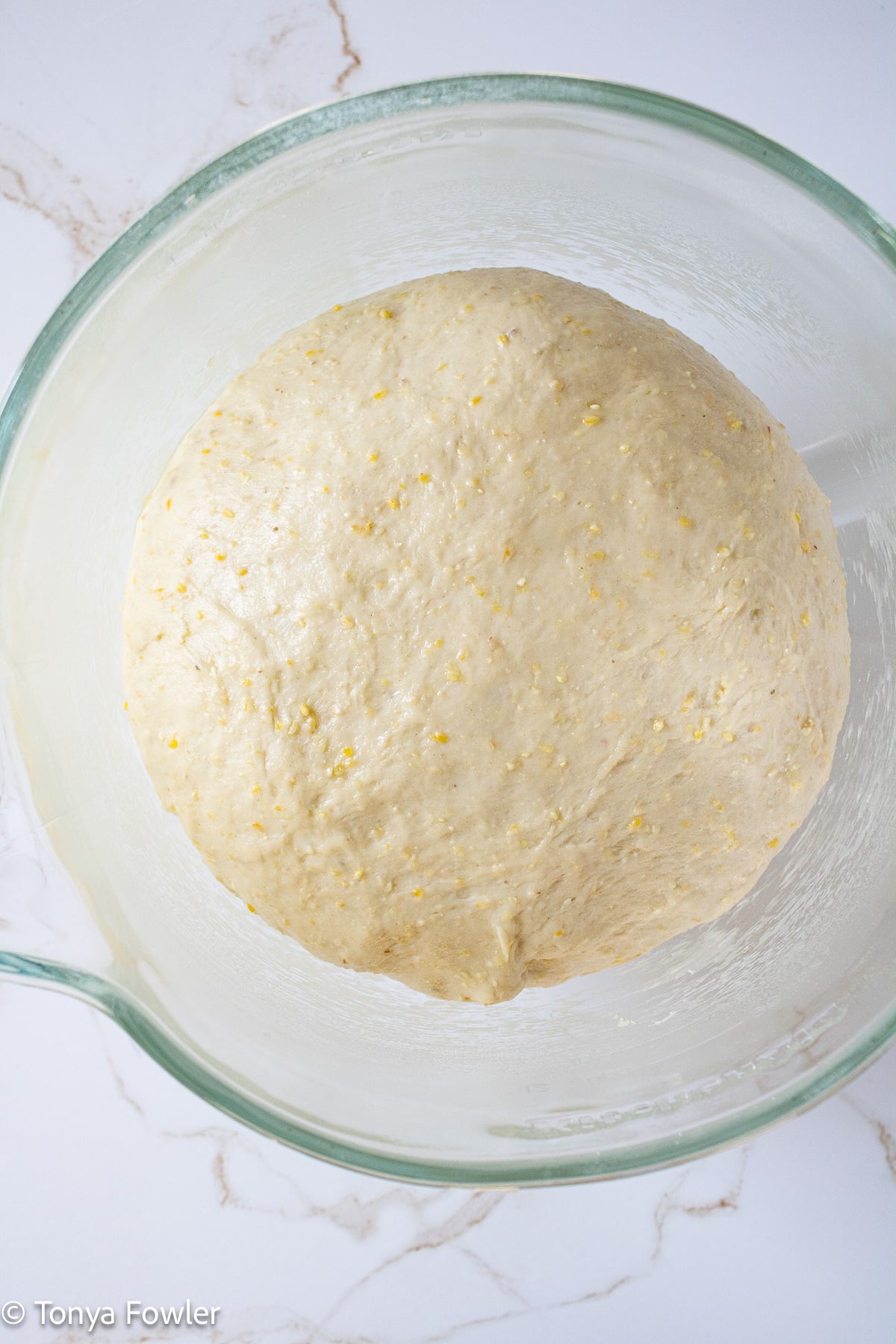 Pizza dough that has doubled in size in a mixing bowl.