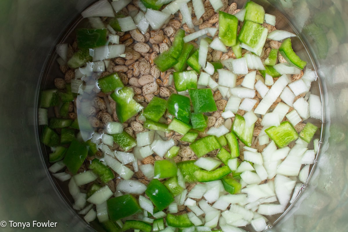 Beans and chopped vegetables in a pot.