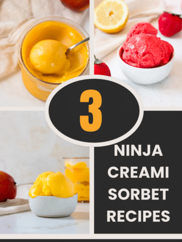 Ninja Creami Sorbet Recipes Infographic.