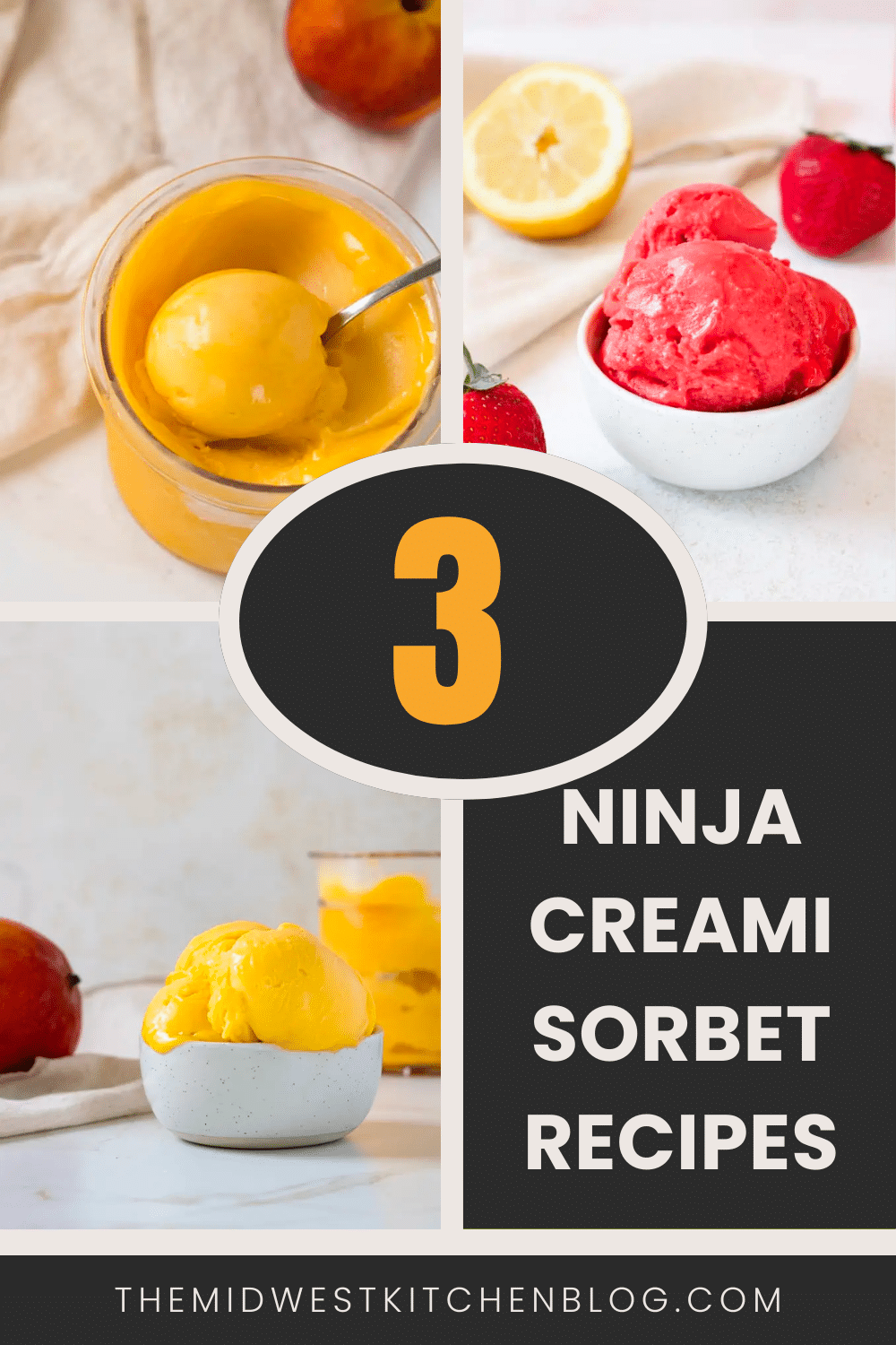 Ninja Creami Sorbet Recipes Infographic.