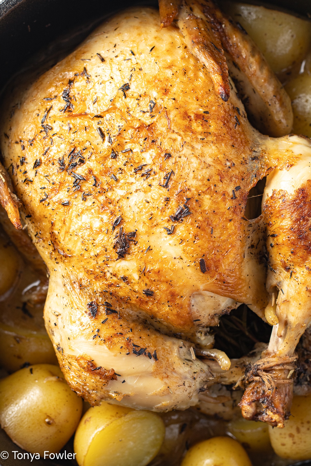 Dutch Oven Whole Roasted Chicken on a bed of potatoes.