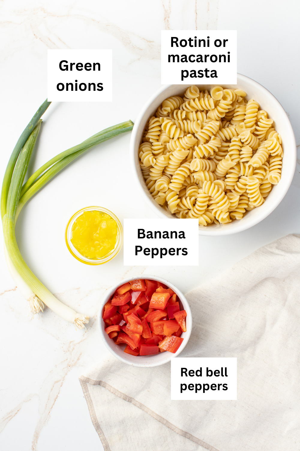 Pasta salad ingredient infographic. 