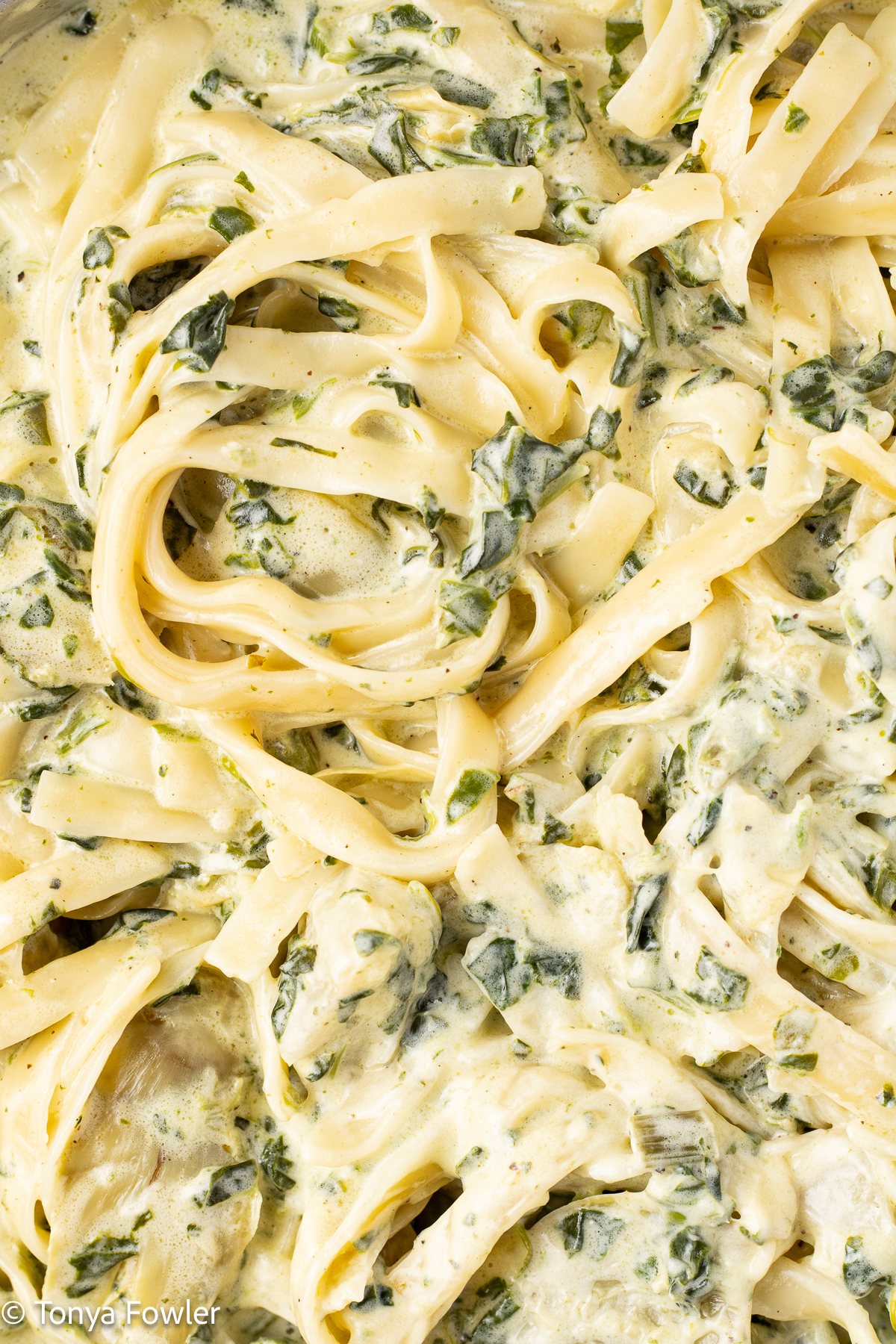 Close up image of spinach artichoke alfredo pasta.