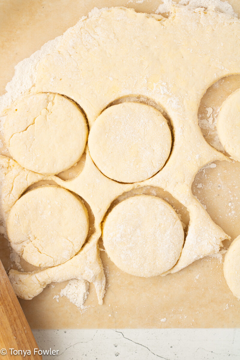Biscuit dough cut into circles on parchment paper.