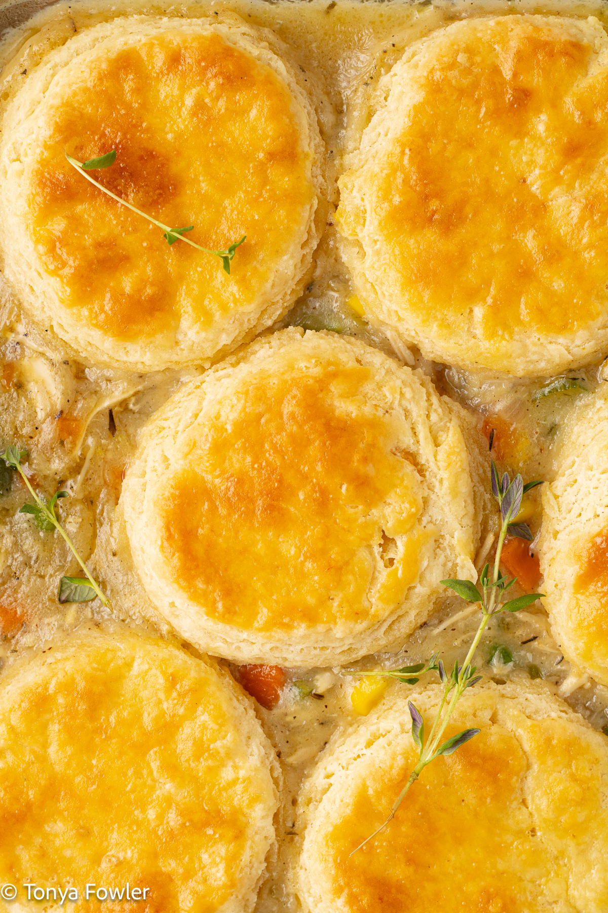 Close up image of Turkey Pot Pie with biscuits on top with a sprig of thyme.
