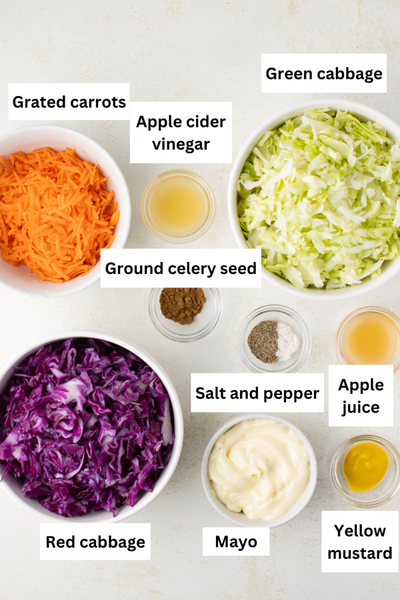 Coleslaw Ingredients Infographic. 