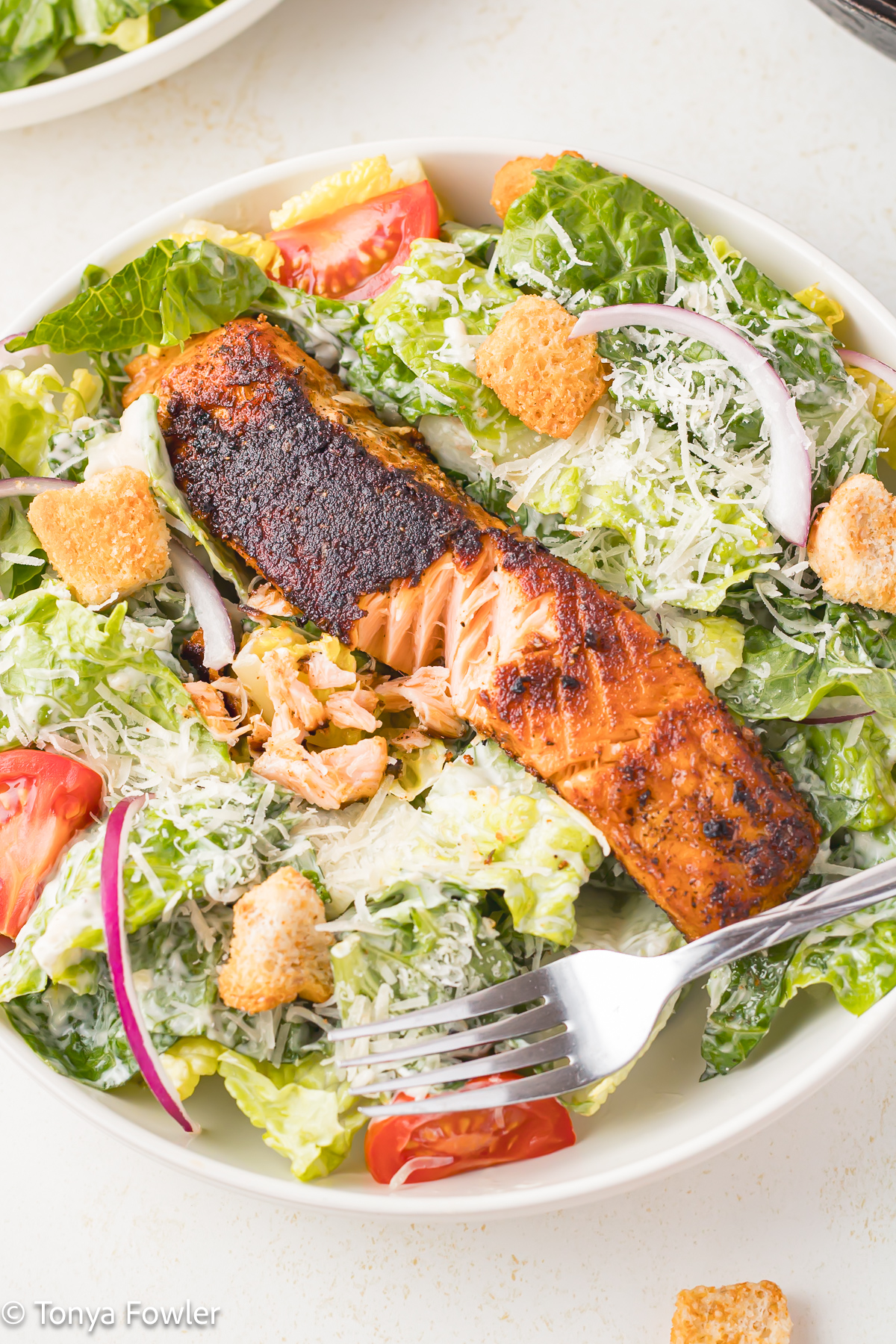Close up image of a salmon salad.