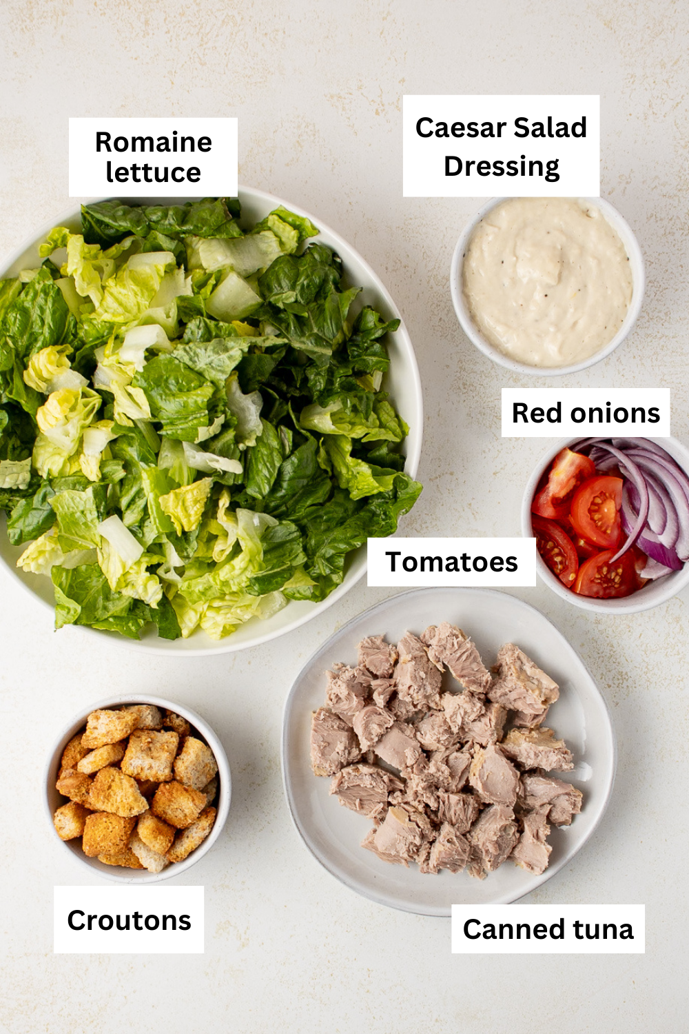 Tuna Caesar Salad ingredients infographic.