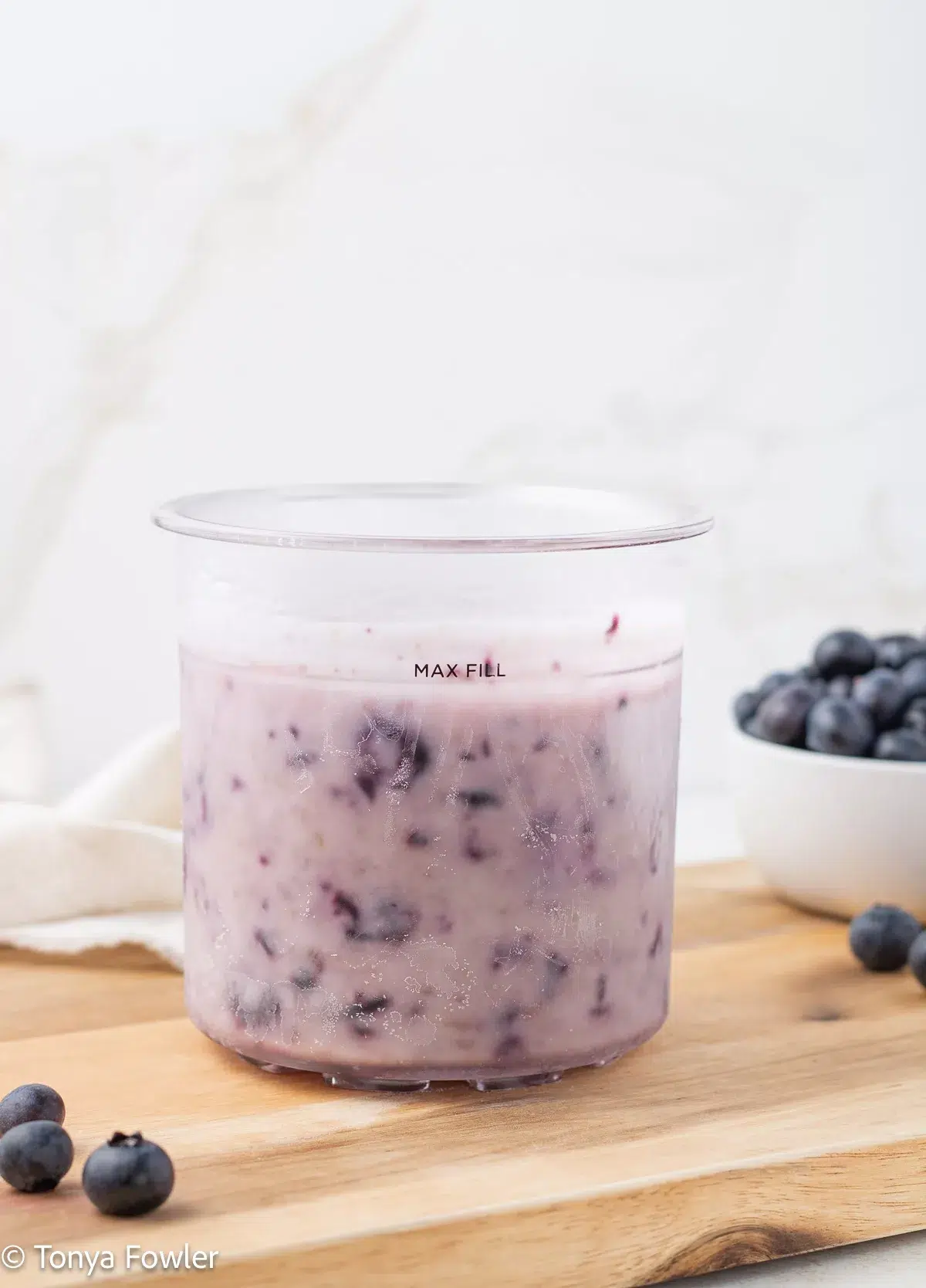 Frozen blueberry yogurt in a pint container.