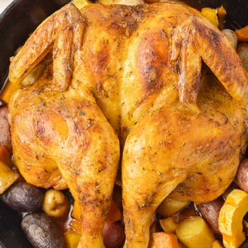 Whole Spatchcock Chicken with squash and potatoes.